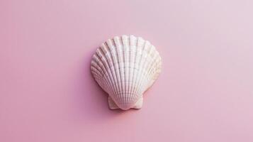 A single seashell, delicately placed against a colored background, captures the essence of the ocean photo