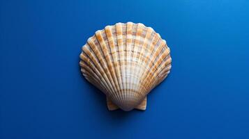 A single seashell, delicately placed against a colored background, captures the essence of the ocean photo