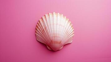 A single seashell, delicately placed against a colored background, captures the essence of the ocean photo