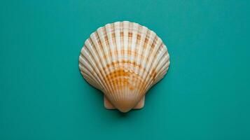A single seashell, delicately placed against a colored background, captures the essence of the ocean photo