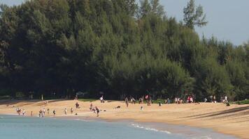 mensen Aan mai khao strand in de buurt de landingsbaan Bij phuket luchthaven. persoon op zoek Bij de vliegend vlak bovenstaand de zee, reizen en actief levensstijl concept video