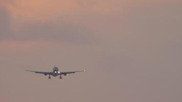 Jet aereo con irriconoscibile livrea si avvicina atterraggio nel rosa tramonto. aereo è volare, discendente video