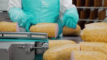 calidad garantía en salchicha embalaje, trabajador inspeccionando salchicha embalaje en un producción línea. video