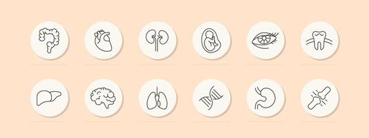 Organs set icon. Intestinal tract, stomach, liver, brain, lungs, embryo, DNA, tooth, eye, heart, eyelids, eyelashes. mesh, pastel colors. Self care concept. line icon. vector