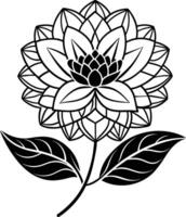 a drawing of a lotus flower with leaves and leaves vector