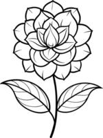 a drawing of a lotus flower with leaves and leaves vector