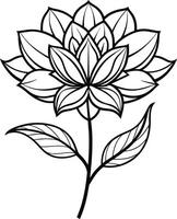 a drawing of a lotus flower with leaves and leaves vector