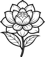 a drawing of a lotus flower with leaves and leaves vector