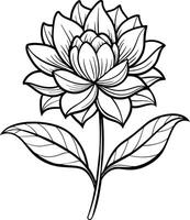 a drawing of a lotus flower with leaves and leaves vector