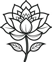 a drawing of a lotus flower with leaves and leaves vector