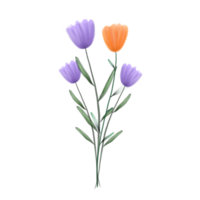 violet et Orange fleurs png