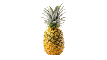 Isolated pineapple cut out. Pineapple fruit on transparent background png