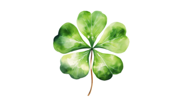 Watercolor four leaf clover cut out. Four leaf watercolor clover png