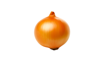 Isolated onion cut out. Orange onion vegetable on transparent background png