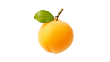 Isolated apricot fruit cut out. Peach fruit on transparent background png