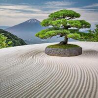 un bonsai árbol en un arena duna con un montaña en el antecedentes foto
