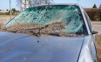 Broken car windshield. Old and abandoned car on the parking. Smashed window. photo