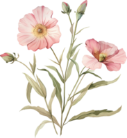 Jahrgang wild Blume png