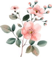 A pink flower with green leaves png