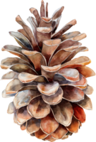 A watercolor painting of a pinecone with a brown and tan color scheme png