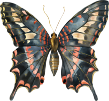 un mariposa con un oro y rosado cuerpo y alas png