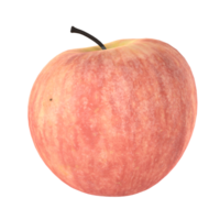 ein Apfel ist gezeigt auf ein transparent Hintergrund png