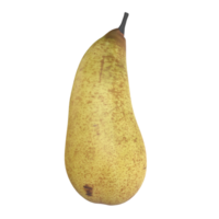 une poire est montré sur une transparent Contexte png