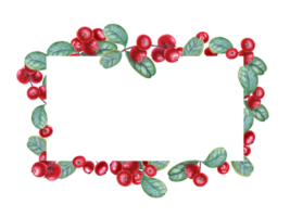 Cowberry branch. red forest berries. Horizontal frame with copy space for text. Bearberry, cranberries, lingonberry. Watercolor illustration with ripe fragrant berry. For postcard, package png