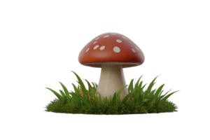 Red color mushroom high quality 3d render png