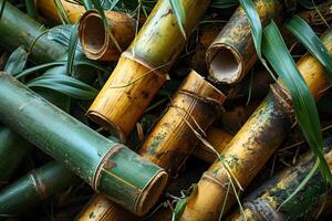 natural bambú piezas, lleno marco foto
