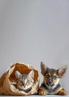 curious kitten with bright green eyes in crumpled brown paper bag, next to cute puppy on gray background copy space. concept of pet adoption, animal welfare, pet related products photo