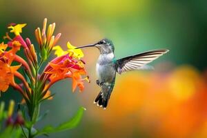 hovering hummingbird delicately feeding from a colorful flower, set against a blurred background. Intriguing capture of a moment of natural wonder photo