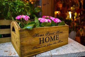 calle decoración de flor el Entrada de un tienda con vistoso flores rosado kalanchoe en un de madera caja con letras dulce hogar. foto