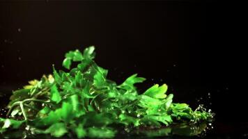 A bunch of parsley falls on the table. On a black background. Filmed is slow motion 1000 fps. video