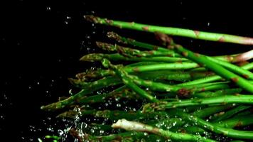 Super slow motion fresh asparagus. High quality FullHD footage video
