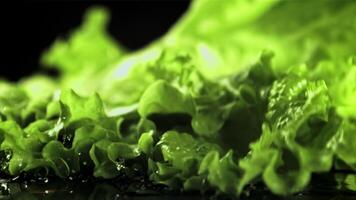 un hoja de Fresco lechuga caídas en el mesa. macro antecedentes. el textura de el ensalada. filmado es lento movimiento 1000 fps. video