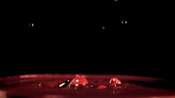 Super schleppend Bewegung fallen von Wein Stürze mit spritzt in das Glas. auf ein schwarz Hintergrund.gefilmt auf ein schnelle Geschwindigkeit Kamera beim 1000 fps. hoch Qualität fullhd Aufnahmen video