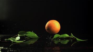 Fresh tangerines fall on the table. On a black background.Filmed is slow motion 1000 frames per second. High quality FullHD footage video