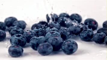 Super schleppend Bewegung auf das Blaubeeren Gießen Wasser. auf ein Weiß Hintergrund.gefilmt auf ein schnelle Geschwindigkeit Kamera beim 1000 fps. video