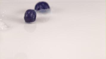 Super slow motion fresh blueberries fall into the milk with splashes. Macro background. Filmed on a high-speed camera at 1000 fps. video