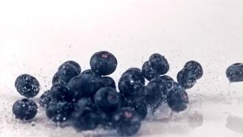 el súper lento movimiento de el arándanos caídas en el mesa con salpicaduras de agua. filmado en un alta velocidad cámara a 1000 fps.on un blanco antecedentes. video