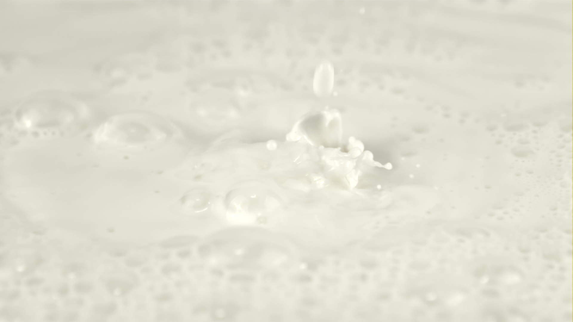 Super slow motion drops of milk fall down with splashes. Macro