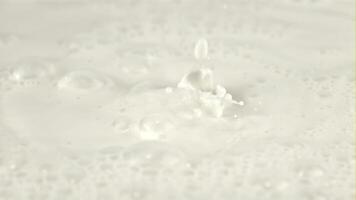 Super schleppend Bewegung Tropfen von Milch fallen Nieder mit Spritzer. Makro Hintergrund.gefilmt auf ein schnelle Geschwindigkeit Kamera beim 1000 fps. video