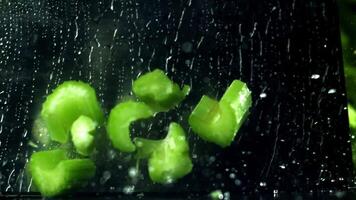 Super slow motion fresh celery. High quality FullHD footage video