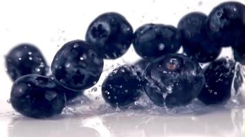 Super schleppend Bewegung von das Blaubeeren Stürze mit spritzt von Wasser auf das Tisch. gefilmt auf ein schnelle Geschwindigkeit Kamera beim 1000 fps.ein ein Weiß Hintergrund. video