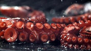 Super slow motion Fried octopus tentacles. High quality FullHD footage video