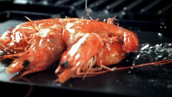 Super slow motion shrimps. High quality FullHD footage video