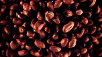 Close up of peanuts stacked on black background, forming a pattern. The contrast between the plant and the carmine nuts creates a striking image video