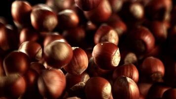 Super slow motion hazelnuts rise up and fall down. High quality FullHD footage video