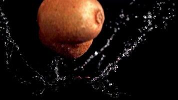 Super slow motion ripe kiwi fall on the water with splashes. Filmed on a high-speed camera at 1000 fps. High quality FullHD footage video